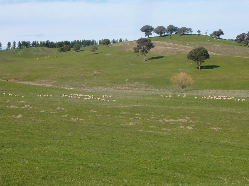 28 Bob’sCreek Road, Carabost NSW 2650