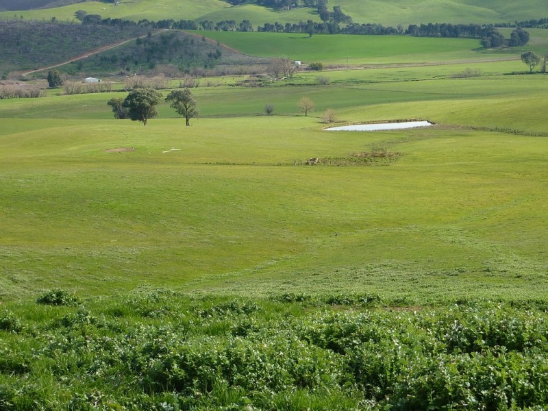 28 Bob’sCreek Road, Carabost NSW 2650