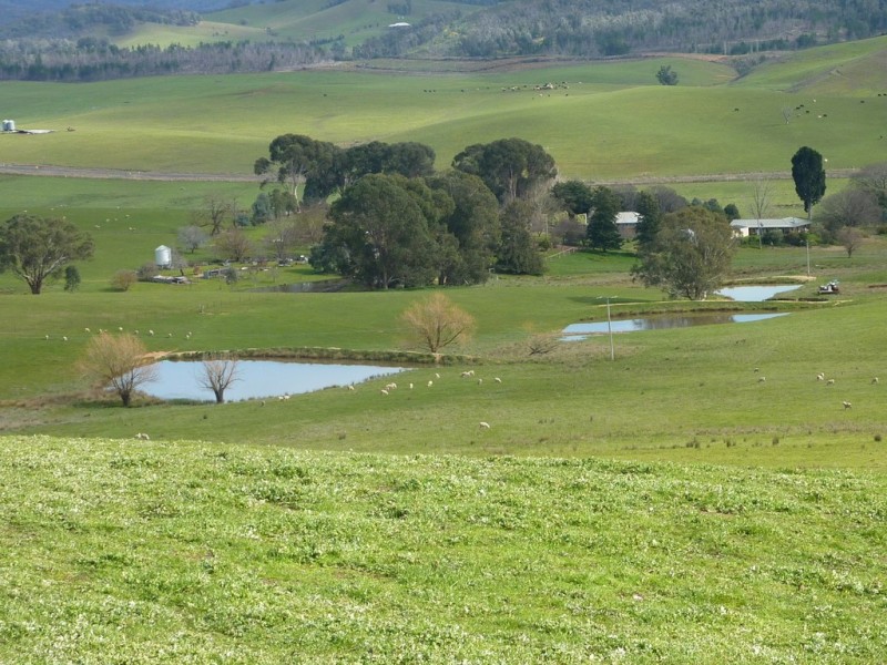 28 Bob’sCreek Road, Carabost NSW 2650