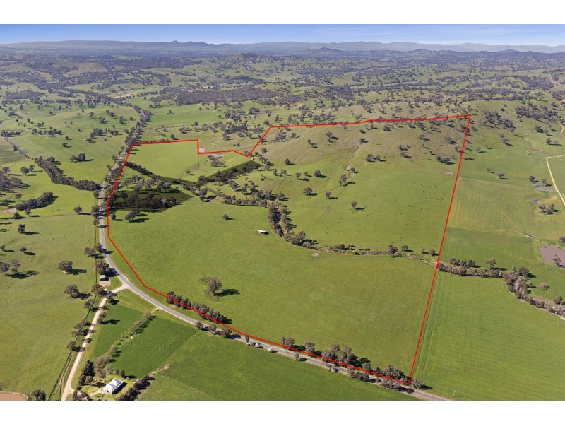 1181 Bungowannah Road, Bungowannah NSW 2640