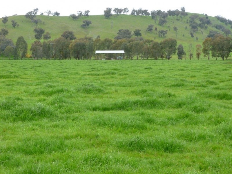1181 Bungowannah Road, Bungowannah NSW 2640
