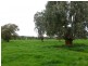1181 Bungowannah Road, Bungowannah NSW 2640