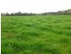1181 Bungowannah Road, Bungowannah NSW 2640
