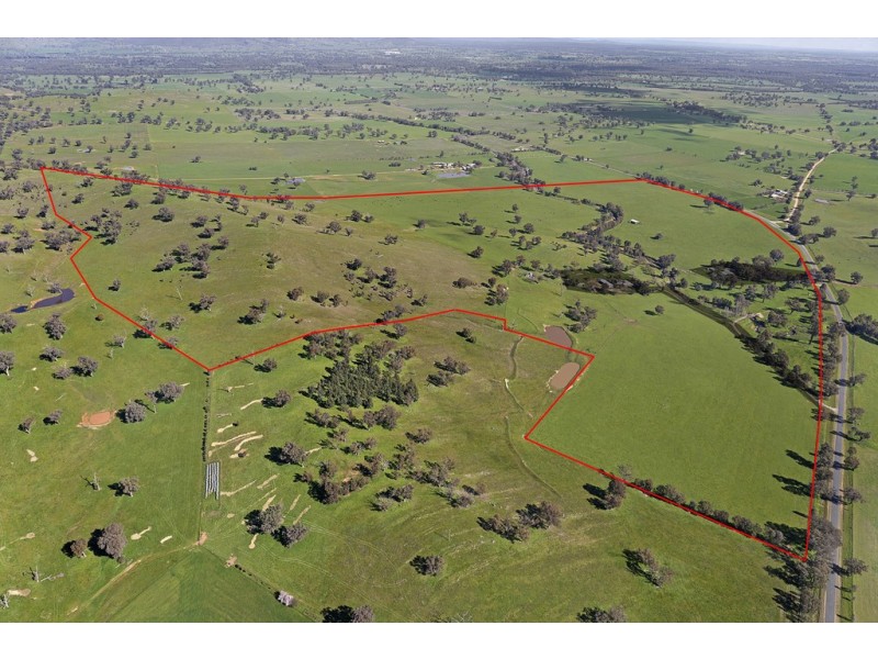 1181 Bungowannah Road, Bungowannah NSW 2640