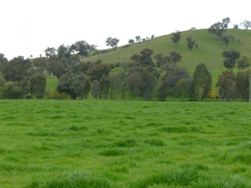 1181 Bungowannah Road, Bungowannah NSW 2640