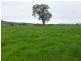 1181 Bungowannah Road, Bungowannah NSW 2640