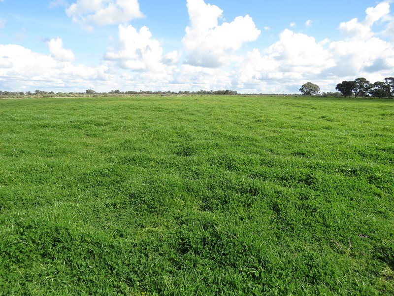 7498 Wakool Road, Barham NSW 2732