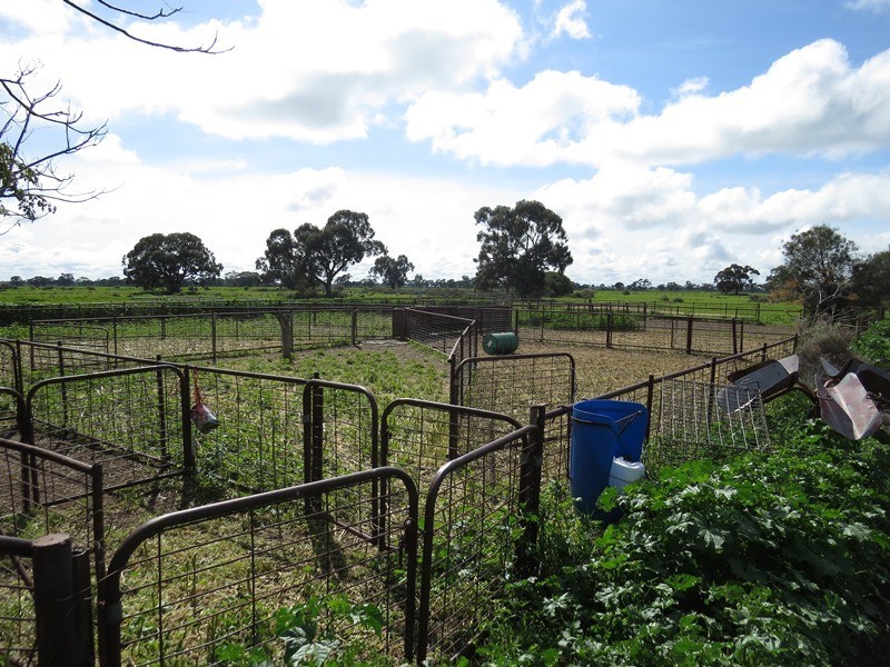 7498 Wakool Road, Barham NSW 2732