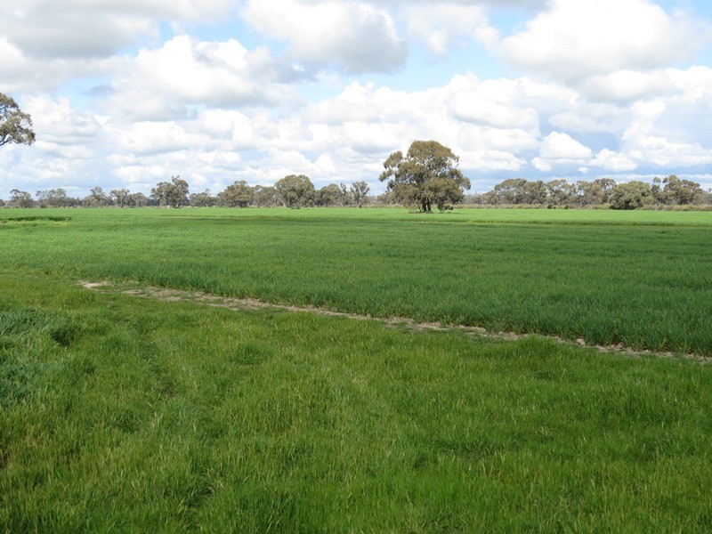 7498 Wakool Road, Barham NSW 2732