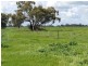 7498 Wakool Road, Barham NSW 2732