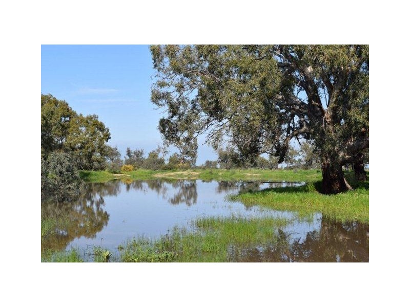 265 Southdown Road, Deniliquin NSW 2710