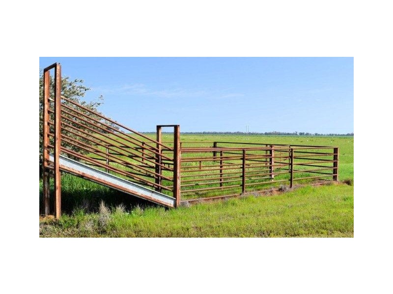 265 Southdown Road, Deniliquin NSW 2710