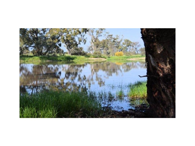 265 Southdown Road, Deniliquin NSW 2710