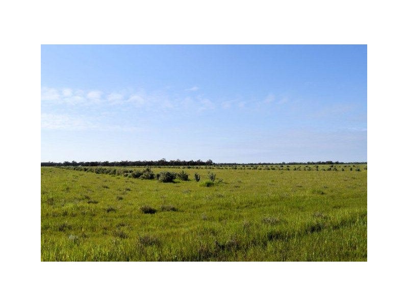 265 Southdown Road, Deniliquin NSW 2710
