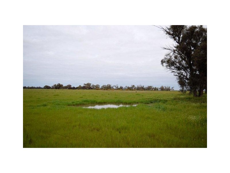265 Southdown Road, Deniliquin NSW 2710