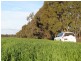 264 OLD DENILIQUIN ROAD, Moama NSW 2731