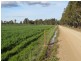 264 OLD DENILIQUIN ROAD, Moama NSW 2731