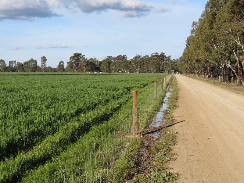 264 OLD DENILIQUIN ROAD, Moama NSW 2731
