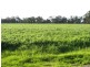264 OLD DENILIQUIN ROAD, Moama NSW 2731