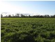 264 OLD DENILIQUIN ROAD, Moama NSW 2731