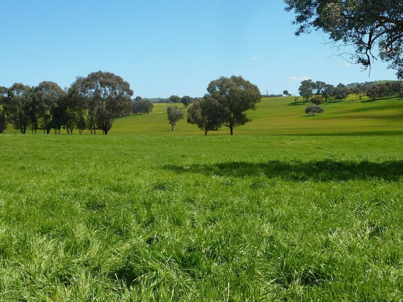 65 Vincents Road Ladysmith, Wagga Wagga NSW 2650