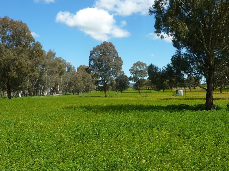 65 Vincents Road Ladysmith, Wagga Wagga NSW 2650