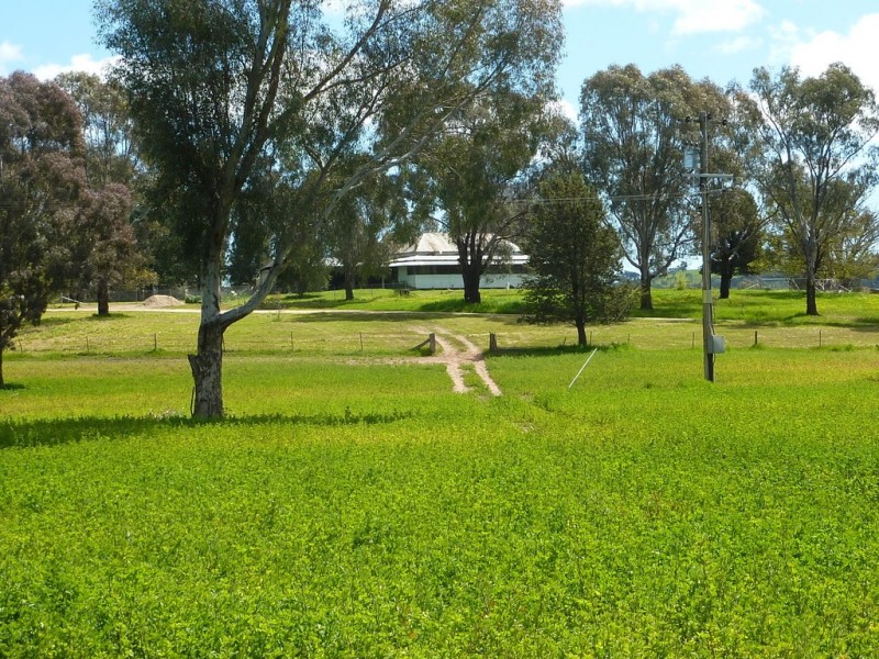 65 Vincents Road Ladysmith, Wagga Wagga NSW 2650