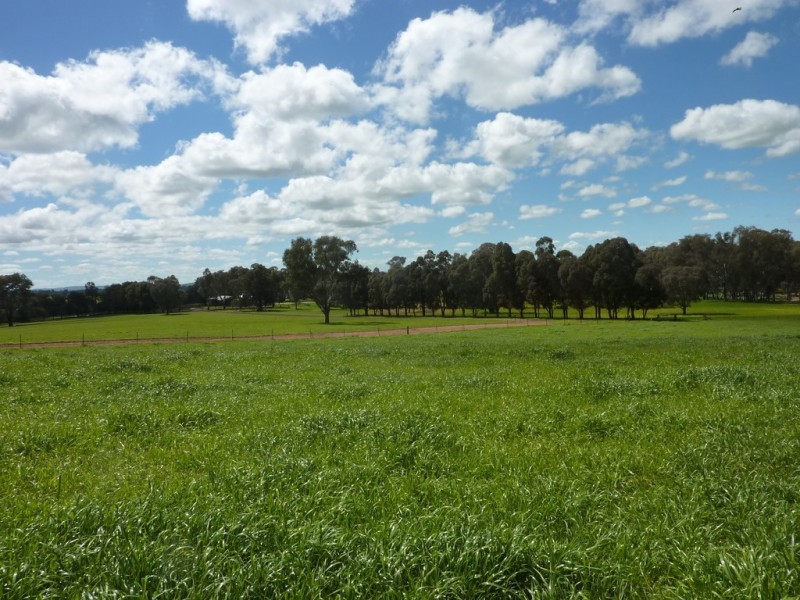 65 Vincents Road Ladysmith, Wagga Wagga NSW 2650