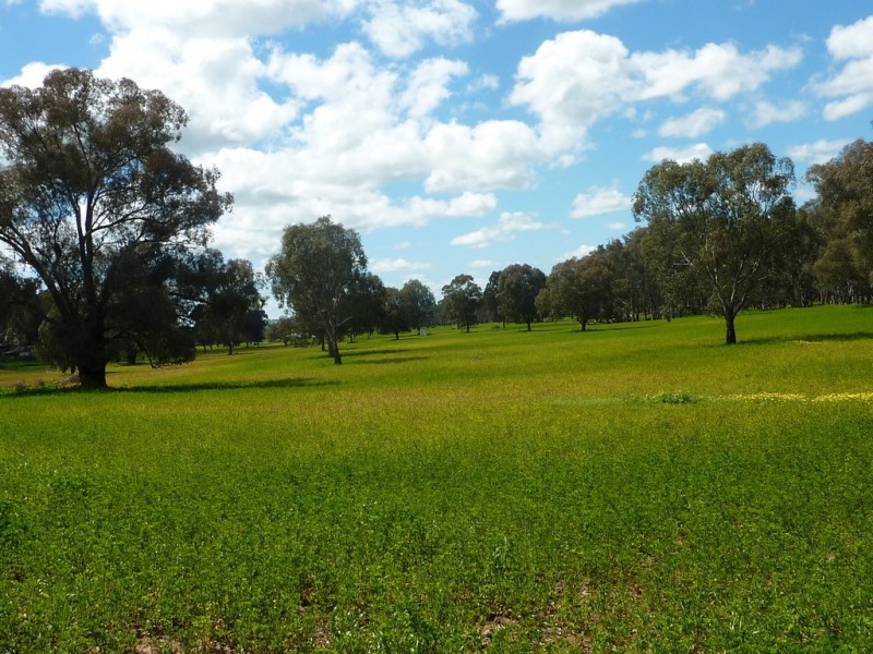 65 Vincents Road Ladysmith, Wagga Wagga NSW 2650