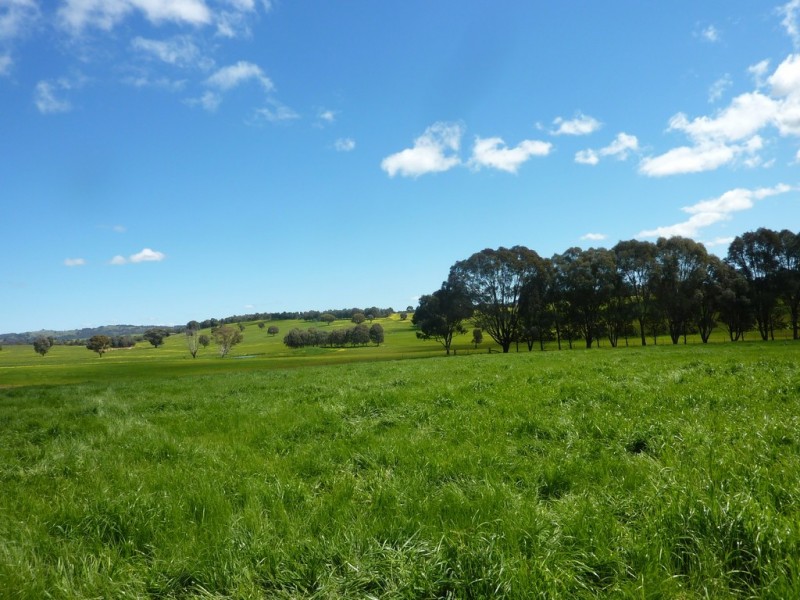 65 Vincents Road Ladysmith, Wagga Wagga NSW 2650