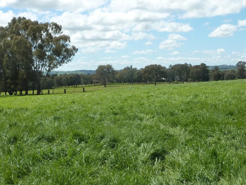 65 Vincents Road Ladysmith, Wagga Wagga NSW 2650