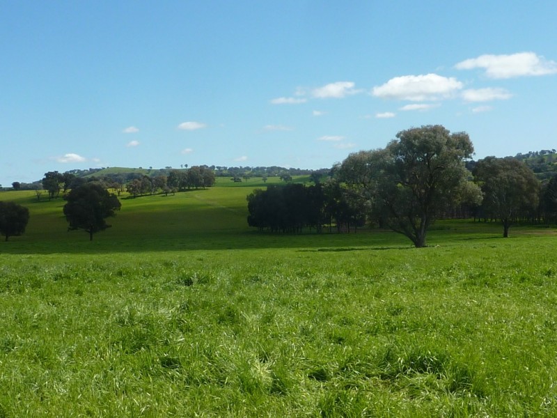 65 Vincents Road Ladysmith, Wagga Wagga NSW 2650