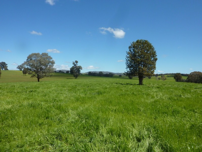 65 Vincents Road Ladysmith, Wagga Wagga NSW 2650