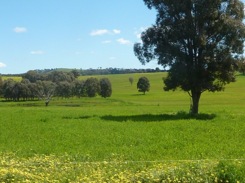 65 Vincents Road Ladysmith, Wagga Wagga NSW 2650