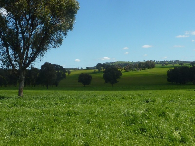 65 Vincents Road Ladysmith, Wagga Wagga NSW 2650