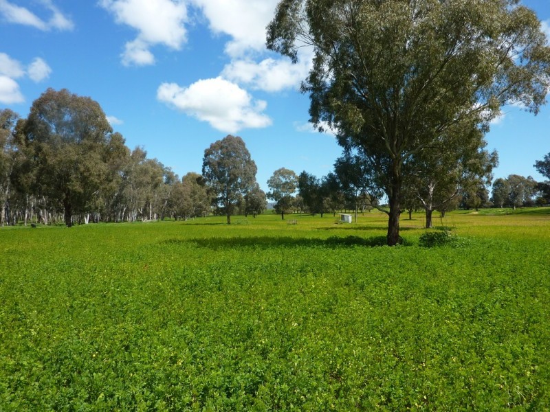 65 Vincents Road Ladysmith, Wagga Wagga NSW 2650