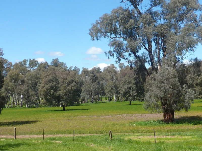 65 Vincents Road Ladysmith, Wagga Wagga NSW 2650