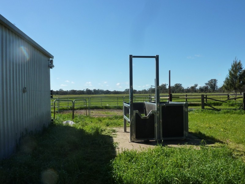 79 Croziers Lane., Ganmain NSW 2702