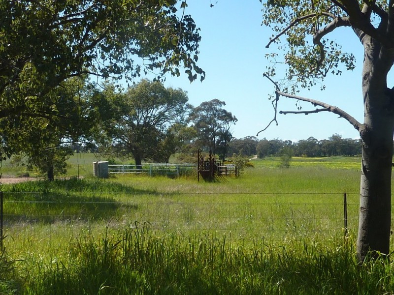 79 Croziers Lane., Ganmain NSW 2702