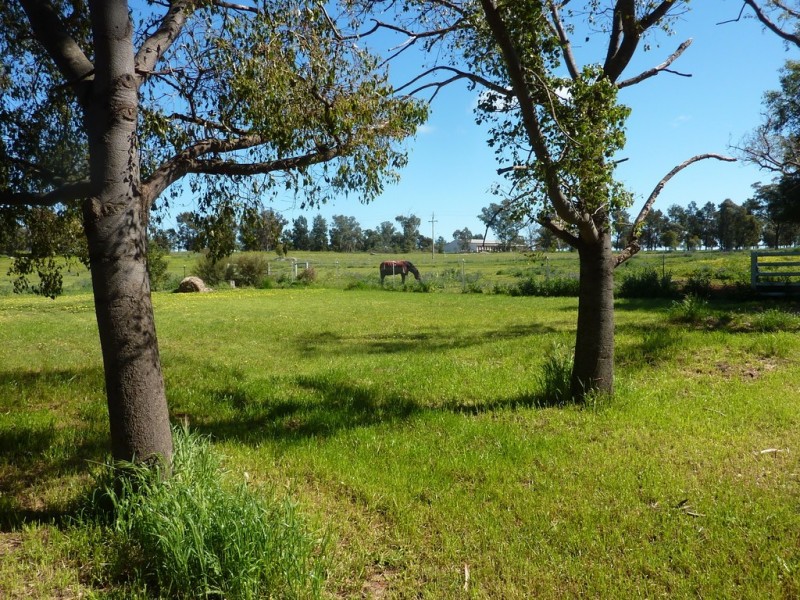 79 Croziers Lane., Ganmain NSW 2702