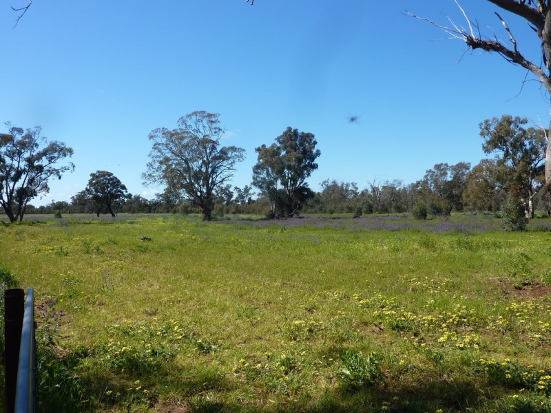 79 Croziers Lane., Ganmain NSW 2702