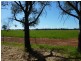 79 Croziers Lane., Ganmain NSW 2702