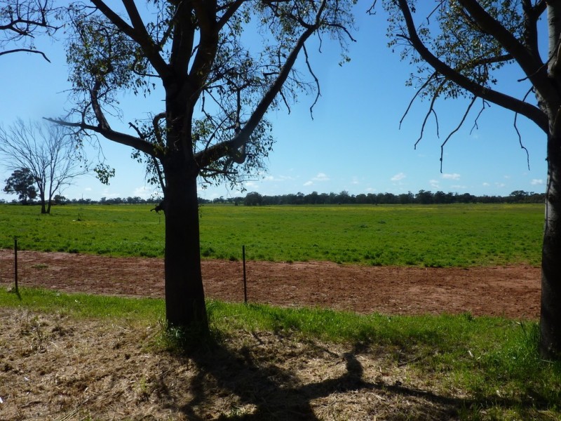 79 Croziers Lane., Ganmain NSW 2702