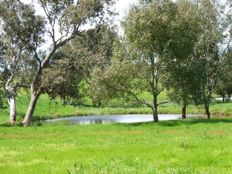 598 Glenellen Road, Jindera NSW 2642