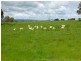 598 Glenellen Road, Jindera NSW 2642