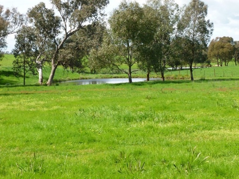 598 Glenellen Road, Jindera NSW 2642