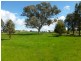 598 Glenellen Road, Jindera NSW 2642