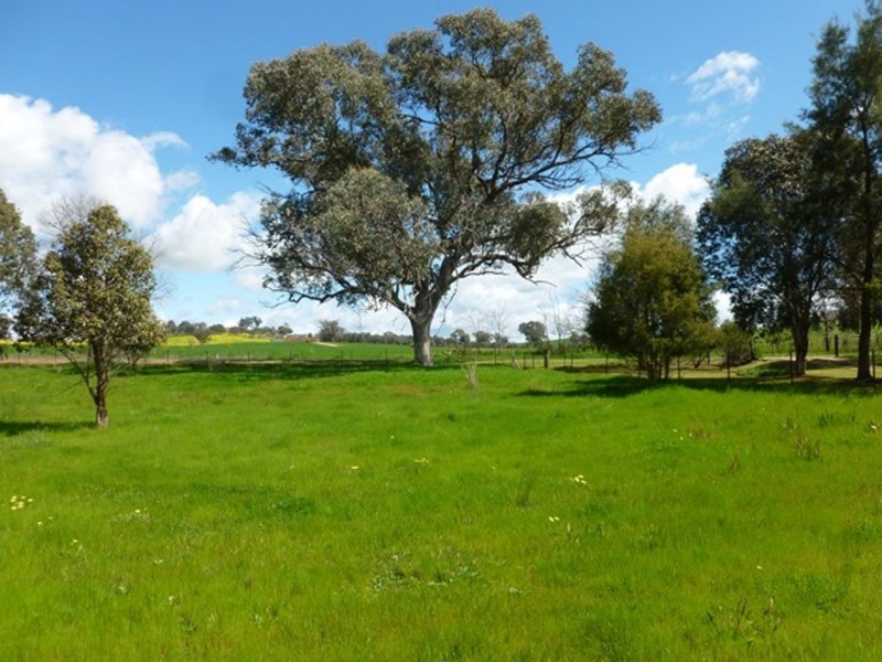 598 Glenellen Road, Jindera NSW 2642