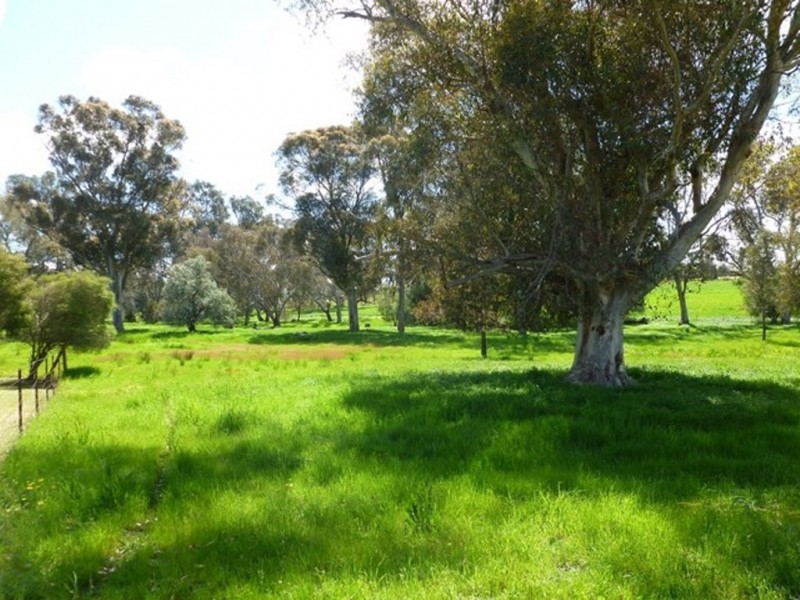 598 Glenellen Road, Jindera NSW 2642