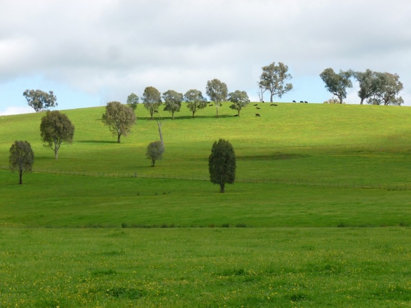 132 Cemetery Road, Talgarno VIC 3691